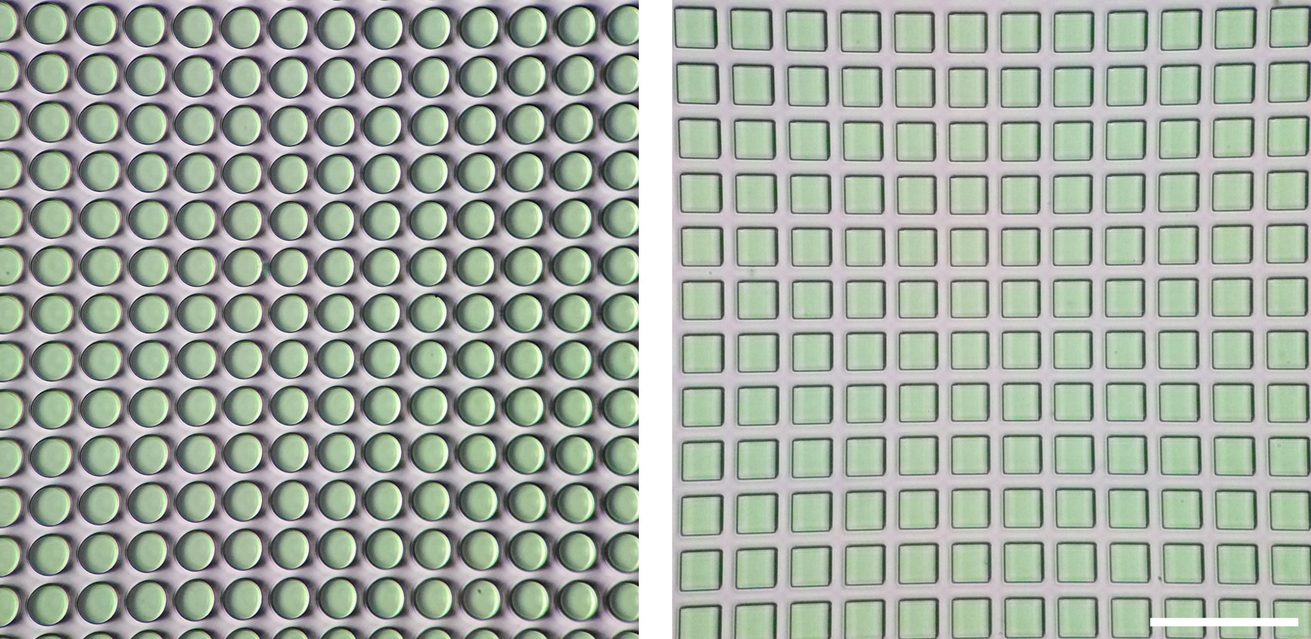 Lithography features made using QuickDry